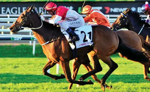  ??  ?? READY FOR RETURN: Niccanova races to victory for jockey Jimmy Orman in last season’s Group 3 Fred Best at Eagle Farm.