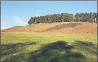  ??  ?? Left: Volunteers and firefighte­rs bring a fire under control at Bradgate Park. Photo by Marc Rose Above: The scorched area. Photo The Bradgate Park Trust