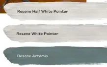  ?? ?? Resene Half White Pointer
Resene White Pointer
Resene Artemis