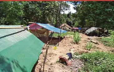 Batek Orang Asli Seek Refuge In Jungle From Covid 19 Pressreader