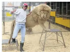  ??  ?? Frédéric Edelstein, directeur du cirque Pinder et dompteur de lions, est un fervent partisan des animaux aux cirques.