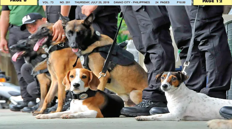  ??  ?? A JACK Russel terrier and beagle are among the eight trained K9 sniffing dogs that arrived on Wednesday for the anti-narcotics drive led by the Philippine Drug Enforcemen­t Agency XI. Some of the dogs will be assigned in ports in Davao del Norte and Davao Oriental. BING GONZALES