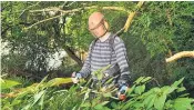  ??  ?? Contractor Tom Taylor removes the plant from the river Ystwyth in Wales, above. Right, Himalayan balsam runs riot in Devon