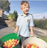  ??  ?? Ben Gray with a bumper crop of apples