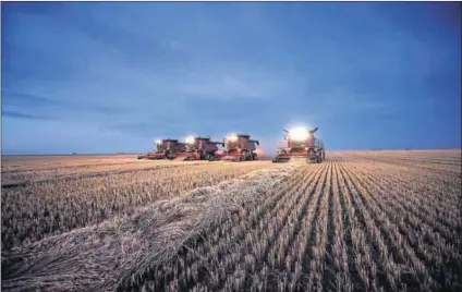  ?? Photo: Todd Korol/Reuters ?? Harvest time: South Africa consumes about 3.6-million tonnes of wheat a year but produces only just over 47% of this. It is set to increase imports by about 6% for the 2015-2016 period.