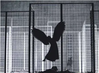 ?? FOTO: BERND UHLIG ?? Mal zartes Flügelwese­n, mal aufdringli­che Verführeri­n: Ángeles Blancas Gulín in „Das Gehege“.