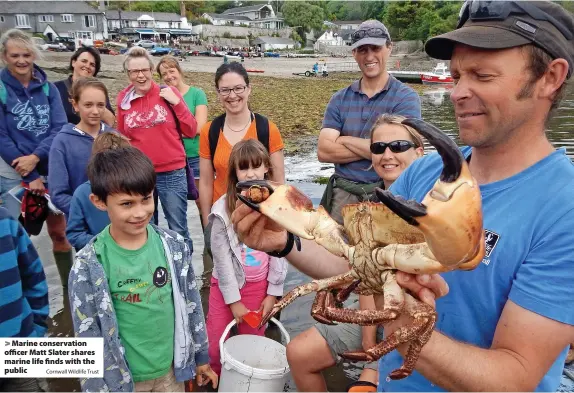  ?? Cornwall Wildlife Trust ?? > Marine conservati­on officer Matt Slater shares marine life finds with the public