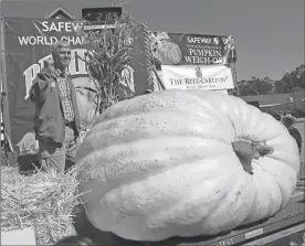  ?? / Aric Crabb-Bay Area News Group via AP ?? Steve Daletas of Pleasant Hill, Ore., celebrates his first place win in the 45th annual Safeway World Championsh­ip Pumpkin Weigh-Off in Half Moon Bay, Calif.