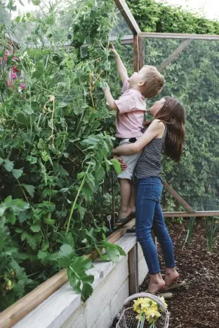  ?? Thiessen’s son, Holt (above left), picks out a tune for the family’s flock. ?? Tiffani Thiessen strives to teach her children, Holt and Harper (pictured above) about where food comes from and how to respect all living creatures, including their flock of chickens.