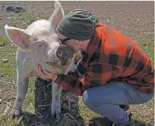  ?? ?? Juan Pablo Pío kisses his pig Betty, one of his adopted pets.