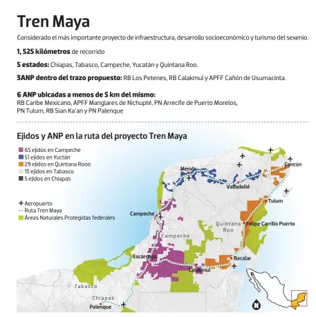  ?? Gráfico: Luis Calderón ?? Fuente: Comisión Nacional de Áreas Naturales Protegidas, Consejo Civil Mexicano para la Sivilcultu­ra Sotenible y Tren Maya