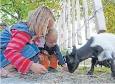  ?? FOTO: DPA ?? Wenn Kinder Angst vor Tieren im Streichelz­oo haben, sollten sie diese erst einmal durch den Zaun füttern.