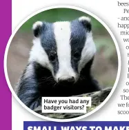  ??  ?? Have you had any badger visitors?