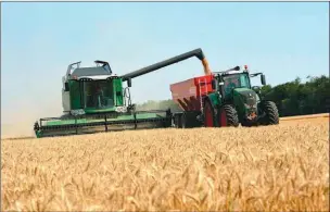  ??  ?? CAMPO. La cosecha del año que viene debería superar a la de este año, lo que impactaría positivame­nte en las arcas nacionales y en el resto de la economía.