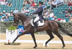  ??  ?? Dressage leaders Marilyn Little and RF Scandalous take third overall