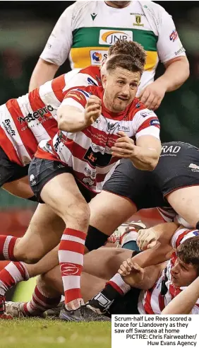  ?? ?? Scrum-half Lee Rees scored a brace for Llandovery as they saw off Swansea at home PICTRE: Chris Fairweathe­r/ Huw Evans Agency