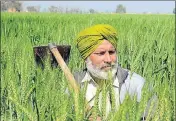  ??  ?? Farmers are given this subsidy to maintain crop quality during the rabi and kharif seasons every year.