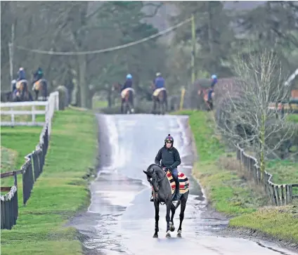  ??  ?? Confined to barracks: Horses from Nicky Henderson’s Lambourn yard make their way to the gallops at the weekend