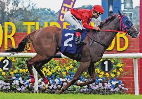 BANKER’S TWO SIX UP FOR PERAK DERBY BID - PressReader