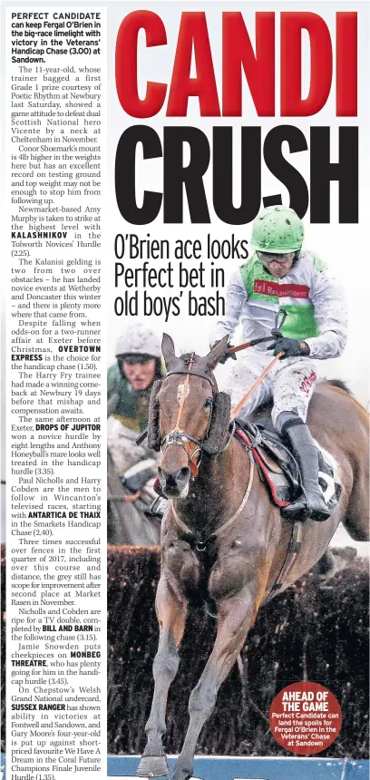  ??  ?? AHEAD OF THE GAME Perfect Candidate can land the spoils for Fergal O’brien in the Veterans’ Chase at Sandown