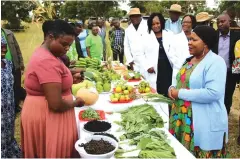  ?? Pictures: Tinai Nyadzayo ?? First Lady Dr Auxillia Mnangagwa (right) views vegetables displayed by women in Ward 12 , Marange, during her visit. -