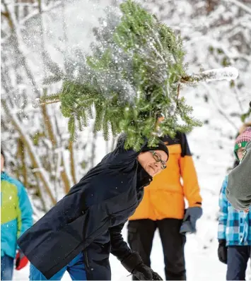  ?? Foto: Marcus Merk ?? Am Samstag fliegen im Diedorfer Wald wieder die Tannen und Fichten – beim Christbaum Weitwurfwe­ttbewerb zugunsten der Kartei der Not.