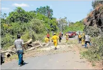  ?? FABRICIO CRUZ/ EXPRESO ?? Destrozos. También hubo árboles caídos a causa de los fuertes vientos.