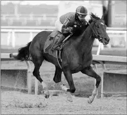  ?? BARBARA D. LIVINGSTON ?? Greatest Honour, winner of the Holy Bull (above) and Fountain of Youth this meet, will be favored for the Florida Derby.