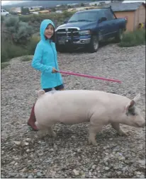  ?? Courtesy photo ?? Alexia Martinez and Jimmy Dean the pig walk together every morning and evening, rain or sunshine, say her parents. Jimmy Dean is Martinez’s 4-H animal for this year’s Taos County Fair.