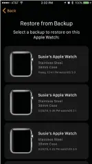  ??  ?? I don’t recall telling my iPhone to back up my Apple Watch. But what do you know – it did. It’s nice not to have to set up my favourite watch faces again