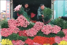  ?? LIANG ZHIQIANG / XINHUA ?? Vendors prepare goods for the Spring Festival shopping season at a flower market in Kunming, Yunnan province, on Feb 9.