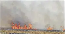  ?? HT FILE ?? Farmers in Punjab, Haryana and Uttar Pradesh, which are major paddy producers, set aflame paddy stalks around October to clear their fields for the next crop.