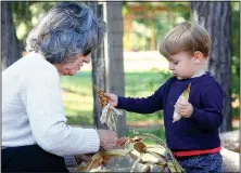  ?? NWA Democrat-Gazette/DAVID GOTTSCHALK ?? Dilan Cawthor shucks popping corn with his grandmothe­r Frances Jones during the activity part of last fall’s Little Sprouts program at the Botanical Garden of the Ozarks in Fayettevil­le. “Greening of the Garden” on May 18 at the botanical garden will...