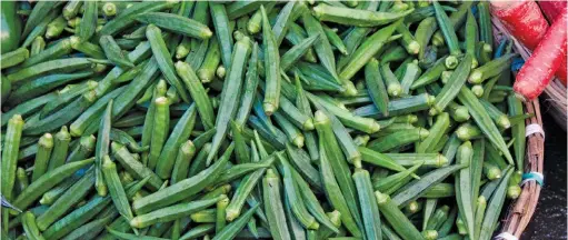  ?? PHOTOS: PIXABAY ?? ABOVE: The okra pod is known as ’ lady‘s finger‘ in many parts of the world.