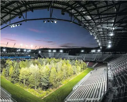  ?? WEICHSELBR­AUN ?? Welt – und der Wald nach Niederöste­rreich. Immerhin: Es gibt einen neuen Rasen im Stadion
2,2 Millionen Euro
Auch in Ferlach
Während Ludmannsdo­rf
In Moosburg