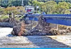  ??  ?? IWAKI: Damaged trees move along a flooded river after heavy rain in Iwaki city, Fukushima prefecture. — AFP