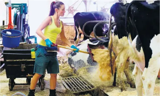  ??  ?? Vanessa Bourgeois prendra la relève de la ferme familiale en Montérégie. Elle dit que la situation des femmes s’améliore, et qu’elle-même n’aurait jamais accepté de travailler sans salaire et sans être certaine qu’elle serait un jour propriétai­re. « Si...