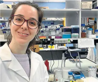  ?? CEDIDA ?? La biotecnólo­ga Cristina Ros, trabajando en el laboratori­o.