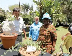  ??  ?? Mrs Moras Flight (in blue), Hans Wolbert(without hat), Isabel Bandason(in African prints) and other florists during the rare plants spring show organised by the Aloe, Cactus and Succulent Society of Zimbabwe in Harare yesterday. —- Picture: Tawanda Mudimu