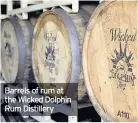  ??  ?? Barrels of rum at the Wicked Dolphin Rum Distillery