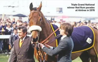  ??  ?? Triple Grand National winner Red Rum parades
at Aintree in 1978