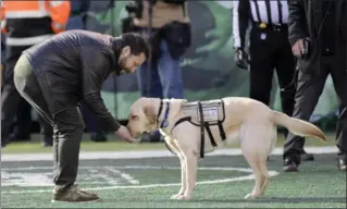  ?? ASSOCIATED PRESS FILE PHOTO ?? A U.S. army veteran is gifted Maggie, a service dog, during the Jets-Panthers game in New York last Sunday.