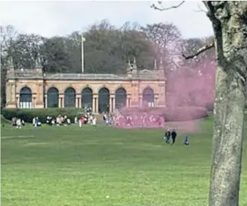  ??  ?? Pink smoke at the gathering in Baxter Park at which many people were thought to be without face masks.