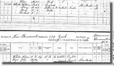  ??  ?? PROOF: Donnybrook wedding of Thomas Bird and Mary McCue. Above, Canadian census and second husband William White