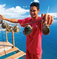  ??  ?? OPENING PAGE: Matira Beach, Bora Bora. ABOVE: Farming for Tahitian culutured pearls in Raiatea. TOP RIGHT: The stunning lagoons
of Bora Bora. BOTTOM: Overwater bungalows at Tahaa.
