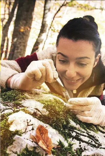IS JOU TOEKOMS GROEN? - PressReader