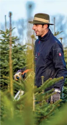  ?? FOTO: JOHANNES HILDEBRAND­T/OH ?? Philipp Bentele auf seiner Christbaum­plantage im Landkreis Ravensburg: Der Landwirt wünscht sich mehr Unterstütz­ung von Gesellscha­ft und Politik.