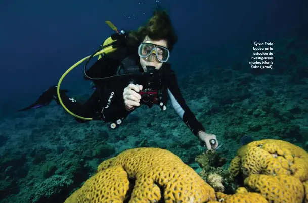  ??  ?? Sylvia Earle bucea en la estación de investigac­ión marina Morris Kahn (Israel).