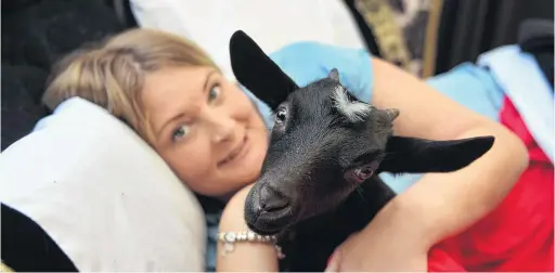  ??  ?? Fourmontho­ld orphan goat Ava snuggles up with Kim Hsiang in Dunedin yesterday.