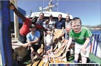  ?? Right: Photos by Domnick Walsh ?? Cu Na Mara crew members with Giant Squid which is over 18 feet. It was caught by fisherman Patrick Flannery off the Kerry coast this week.
Biologist Kevin Flannery inspects the squid.